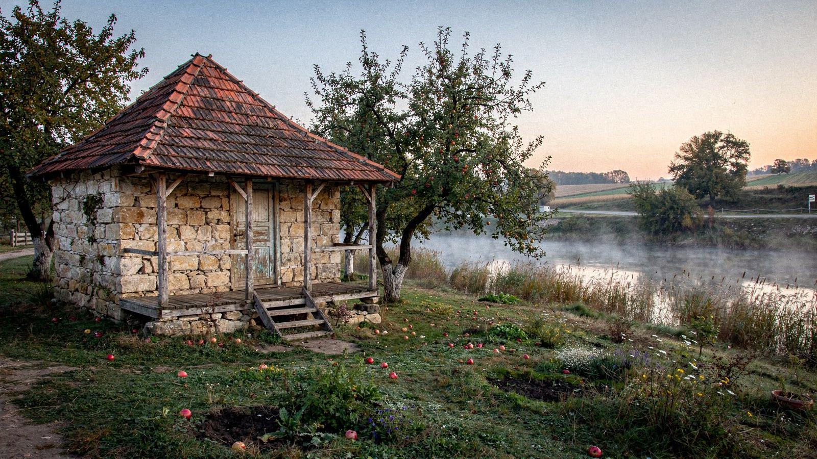 Stone cottage with a tiled roof and apple trees in the yard at dawn in Novi Petrivtsi